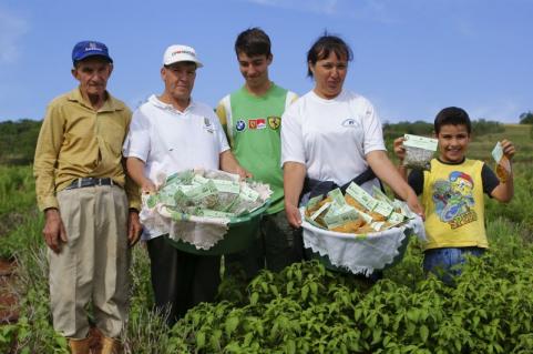 Arranjos Produtivos Locais de Plantas Medicinais
