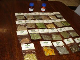 Arranjos Produtivos Locais de Plantas Medicinais